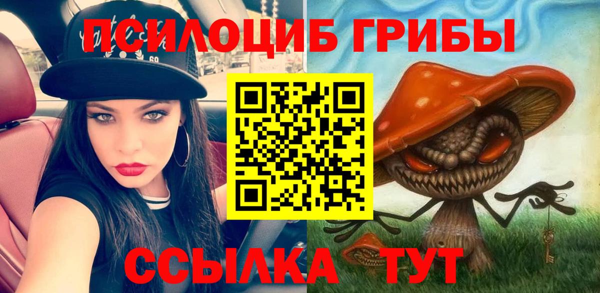Галлюциногенные грибы Cubensis Лысьва